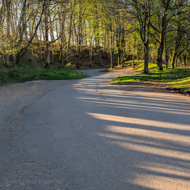 Bowlees Visitor Centre parking area beside the woodland entrance to the High Force and Low Force riverside walks