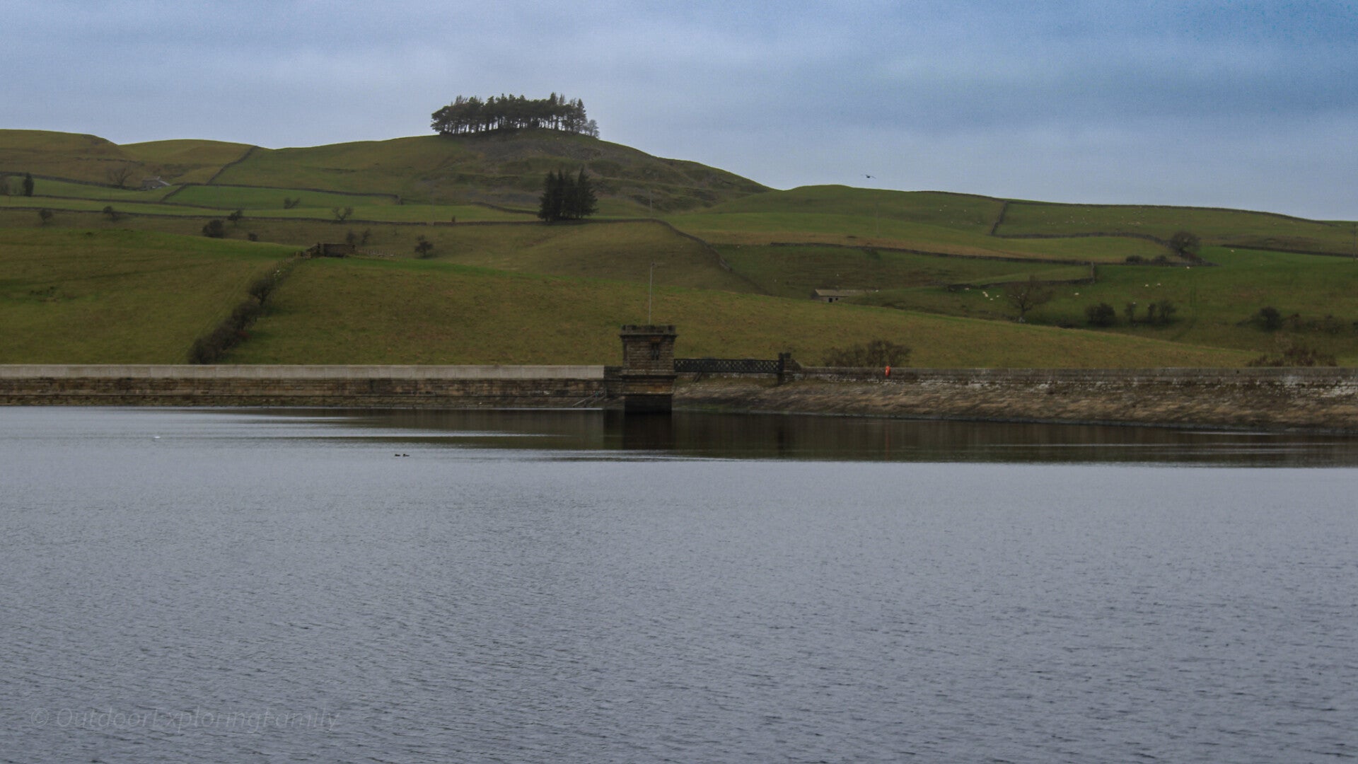 View across Grassholme Reservoir towards the dam with rolling green hills and dry stone walls, Teesdale