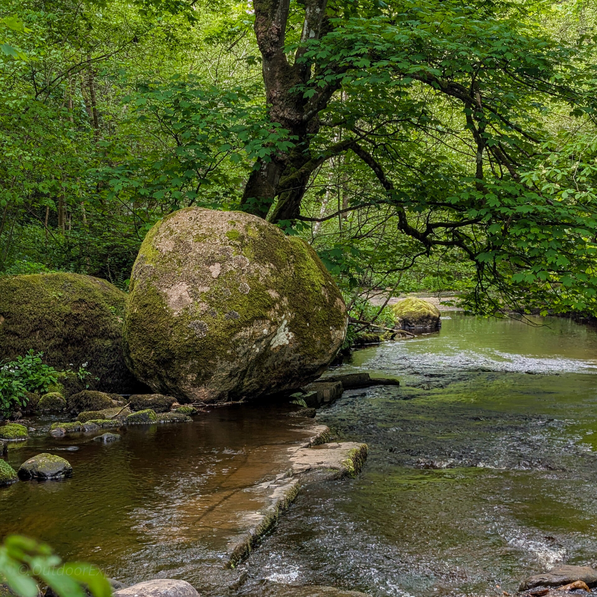 Close view of the Great Stone glacial boulder in Deepdale Woods