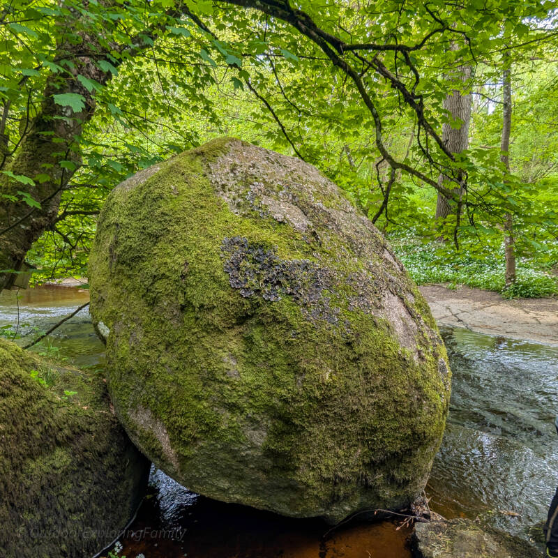 The Great Stone in Deepdale Woods near Barnard Castle, a huge glacial boulder carried from Cumbria during the Ice Age