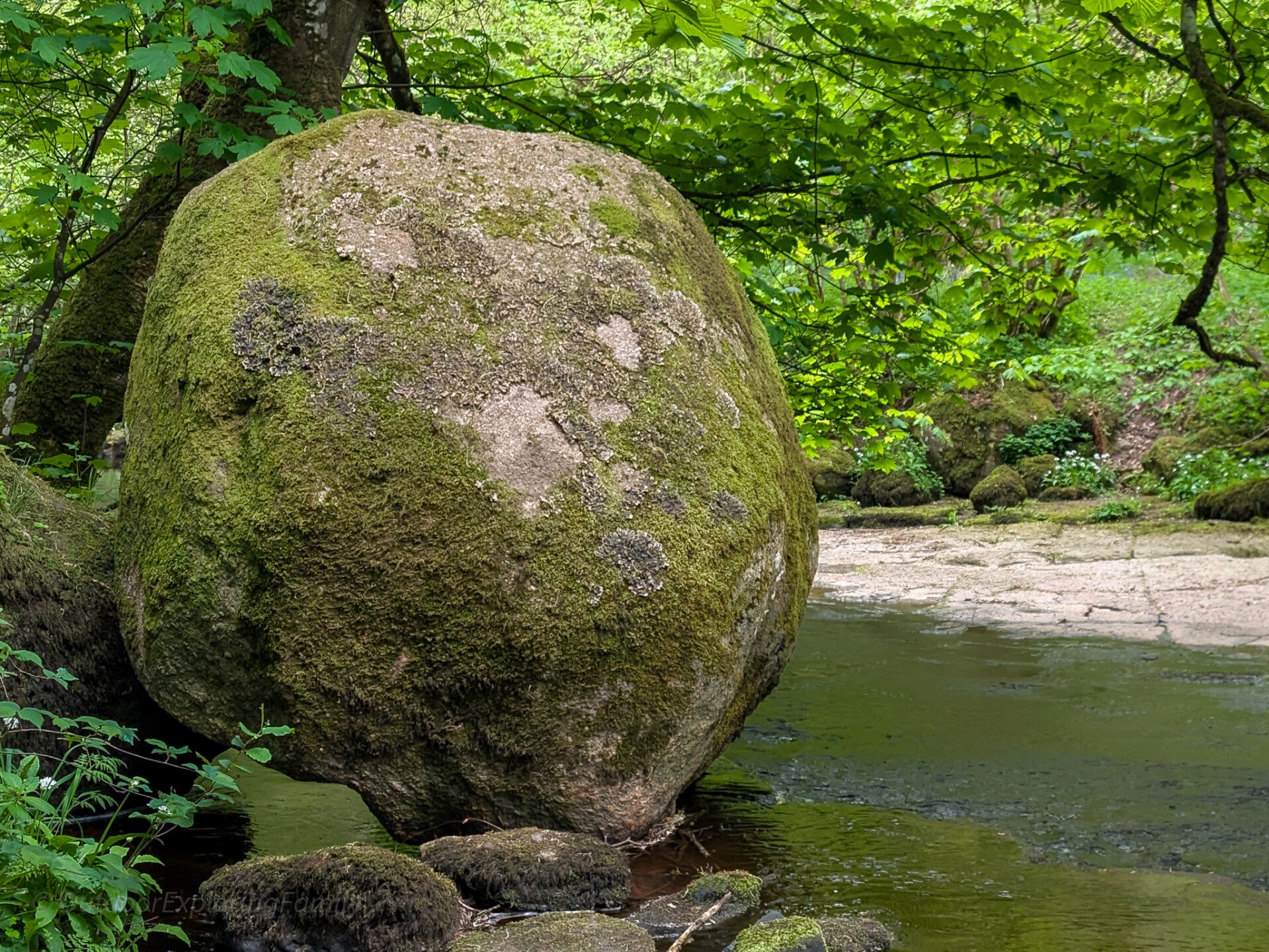 The Great Stone beside Deepdale Beck in Deepdale Woods, a large glacial boulder near Barnard Castle