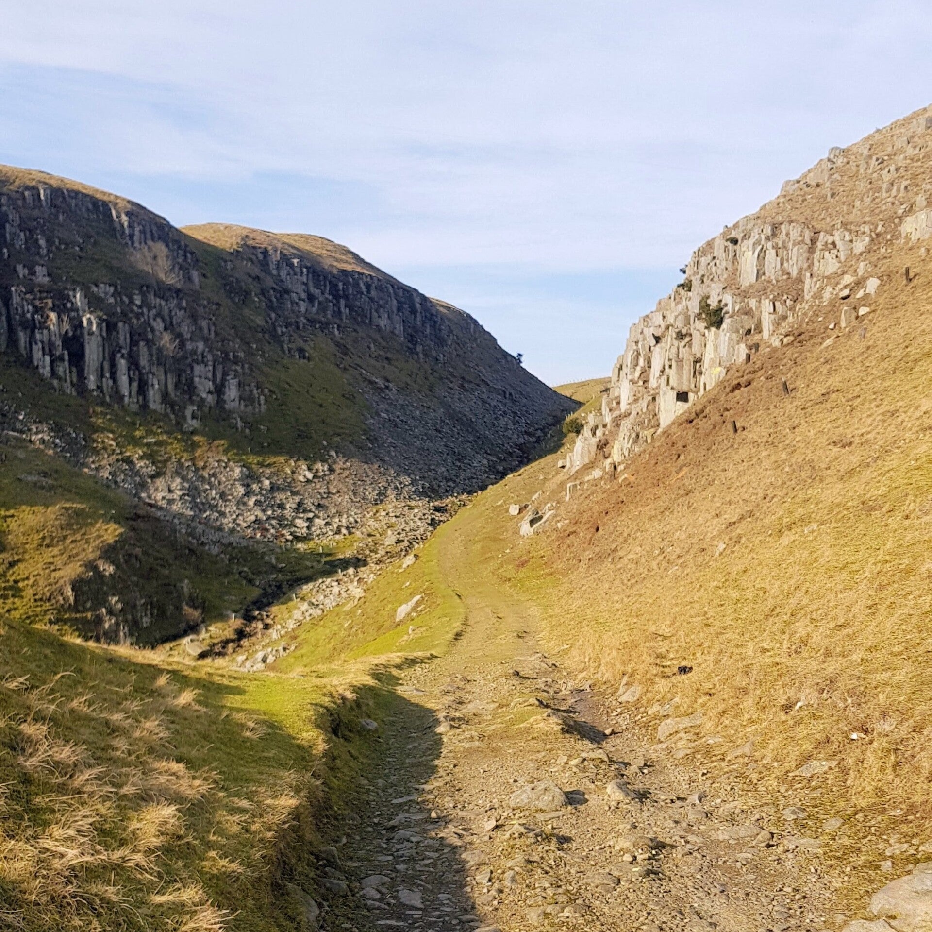 High force circular walk
