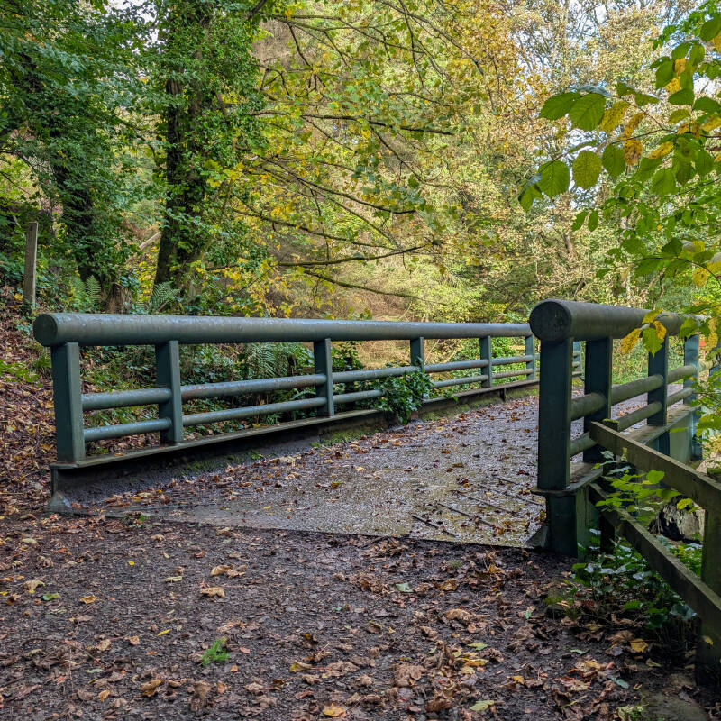 Large metal footbridge crossing Hudeshope Beck on the King's Walk woodland route near Middleton-in-Teesdale.
