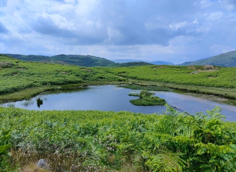 Lily Tarn on the Todd Crag walk from Ambleside, a peaceful Lake District tarn surrounded by green hills and bracken.
