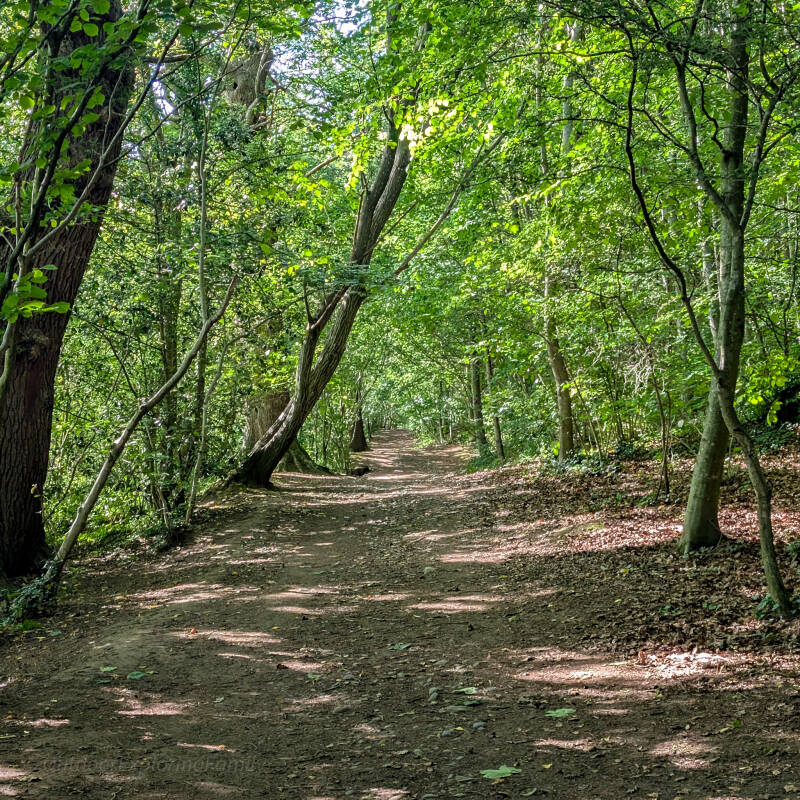 Footpath following the edge of woodland and open fields at Marwood Chase near Barnard Castle.