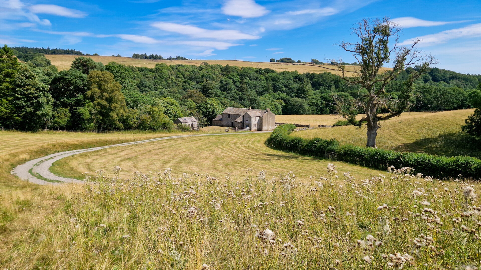 Low Garth Farm above the River Tees on the Romaldkirk and Cotherstone circular walk