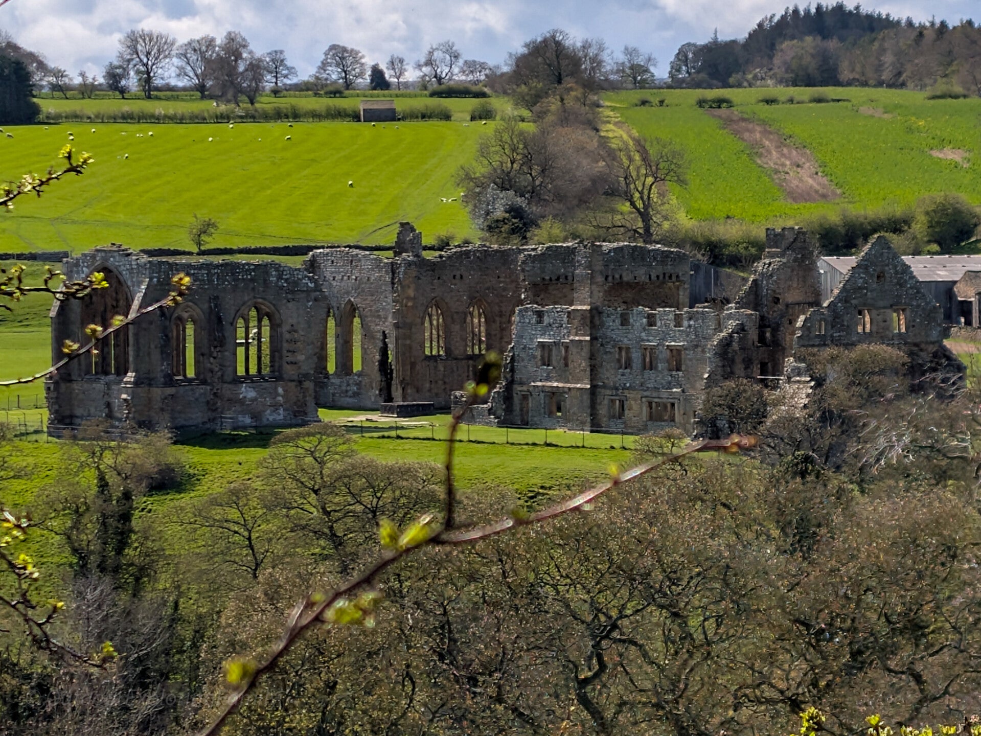 Distant view of Egglestone Abbey ruins above the Teesdale countryside linked with the Mad Monk legend