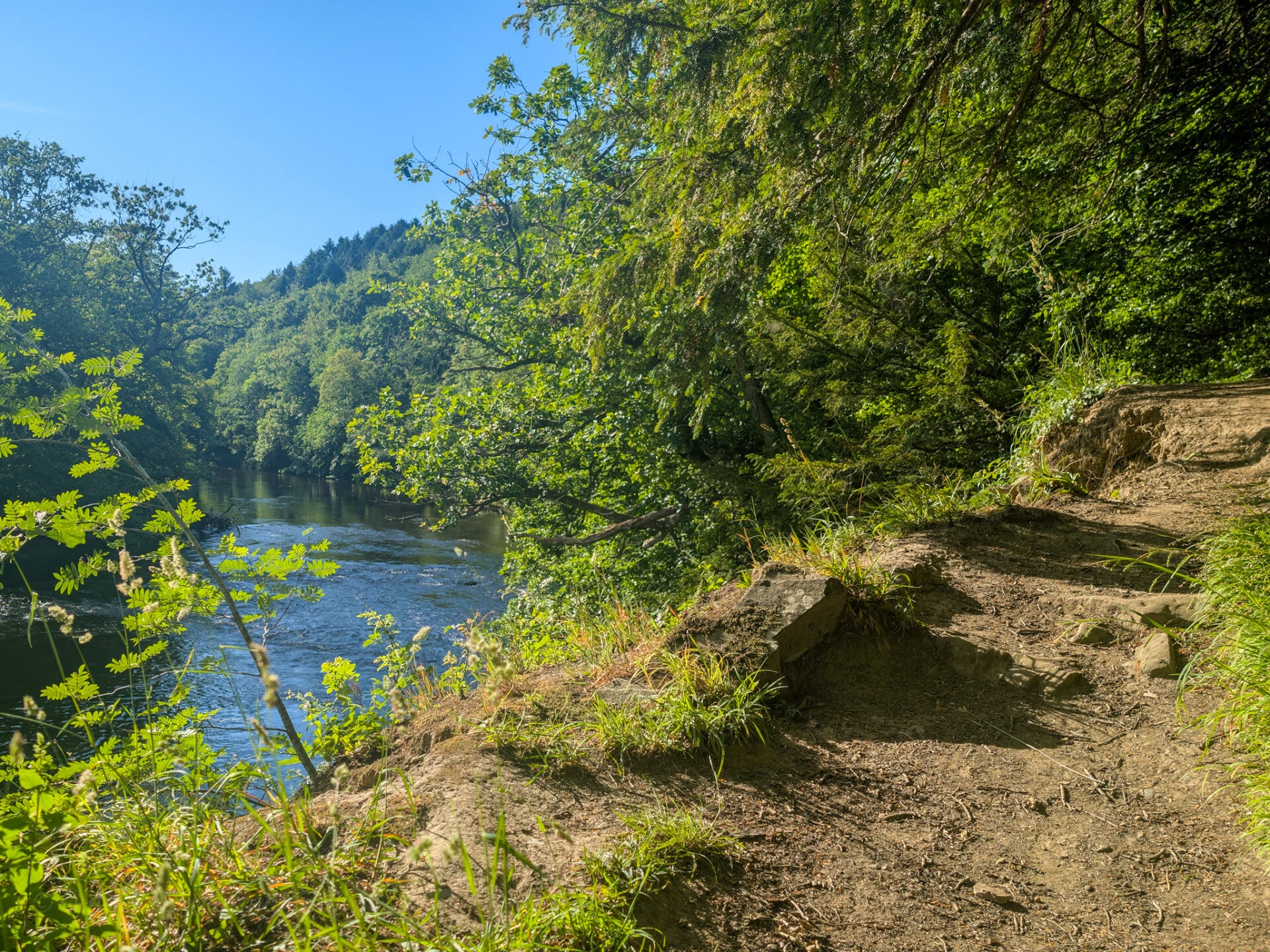 Riverside footpath beside the River Tees at Marwood Chase near Barnard Castle.