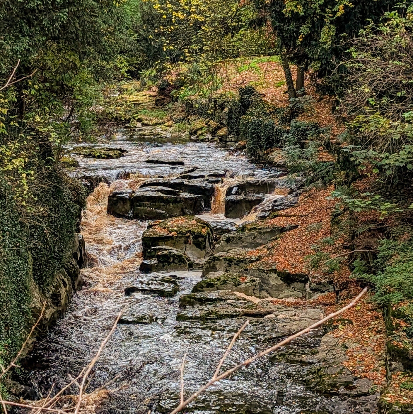 Rocky cascades along the River Greta near the Meeting of the Waters at Rokeby, surrounded by autumn woodland.