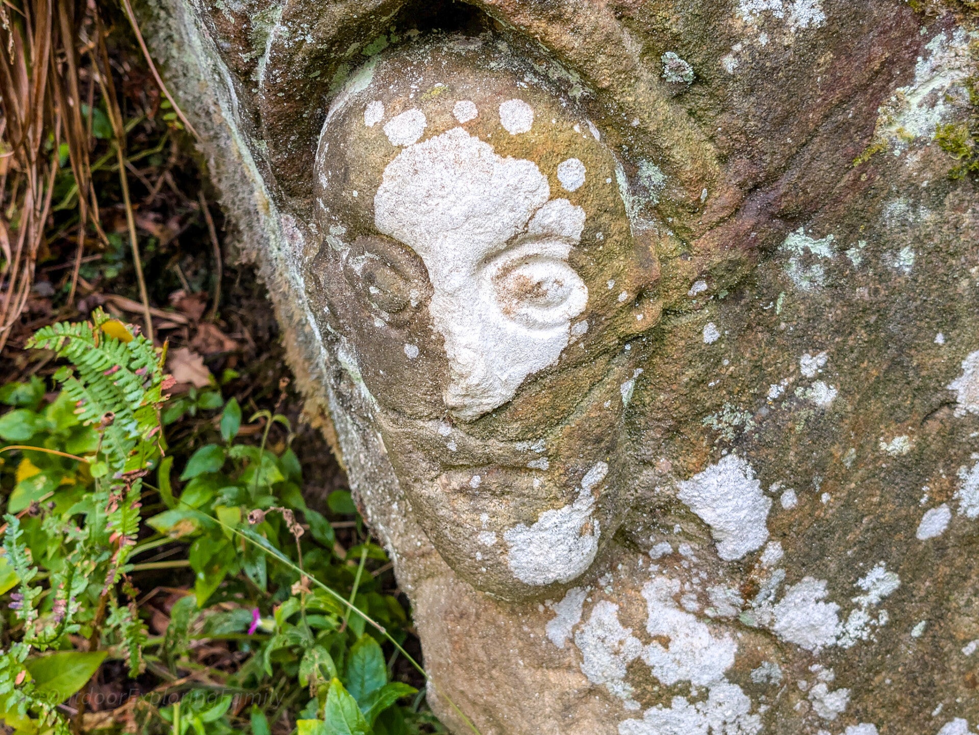Monk’s Head stone face carving in Deepdale Woods, Barnard Castle