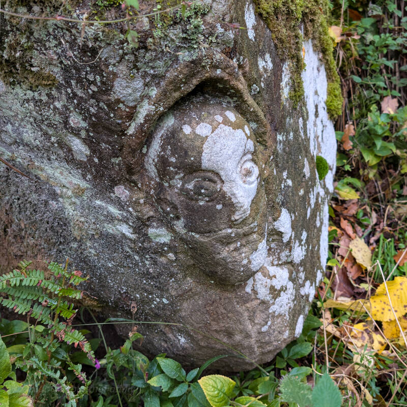 Monk’s Head carving hidden among rocks in Deepdale Woods