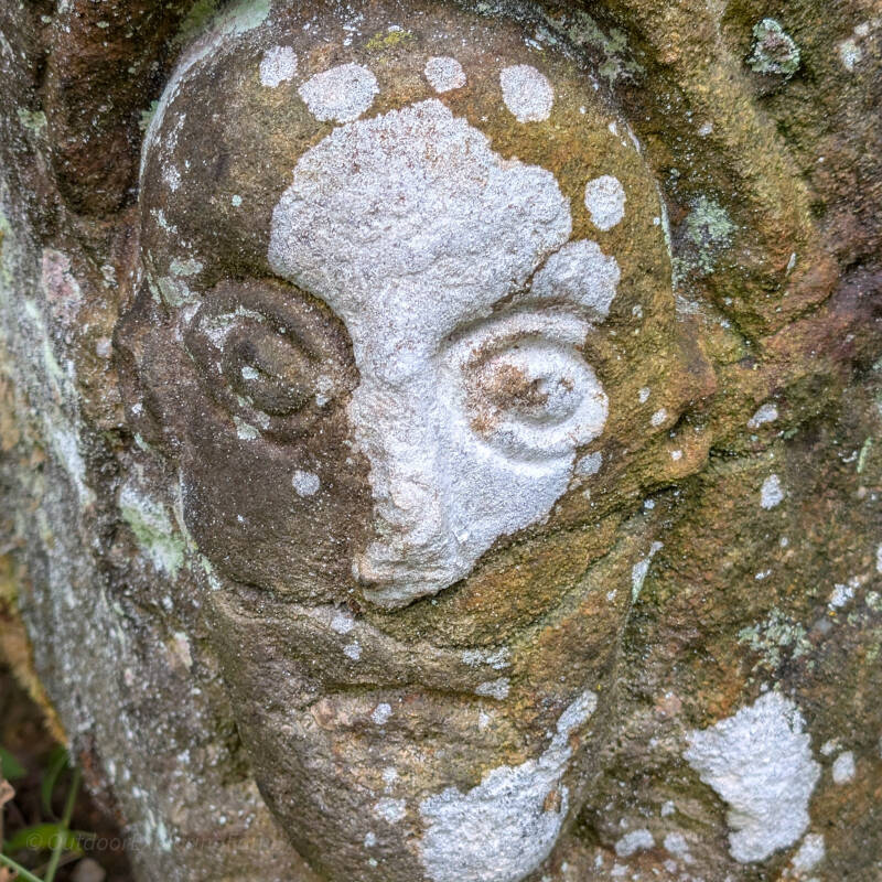 Close view of the Monk’s Head stone carving in Deepdale Woods, Teesdale