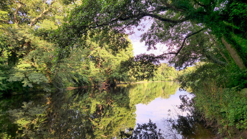 Calm stretch of the River Tees below Egglestone Abbey surrounded by woodland