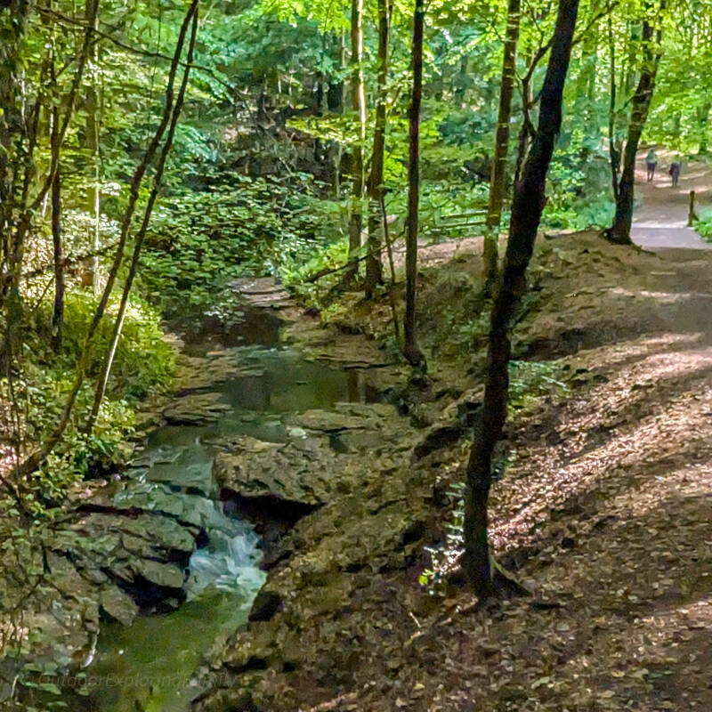 Percy Beck flowing through a rocky woodland gorge in Flatts Wood