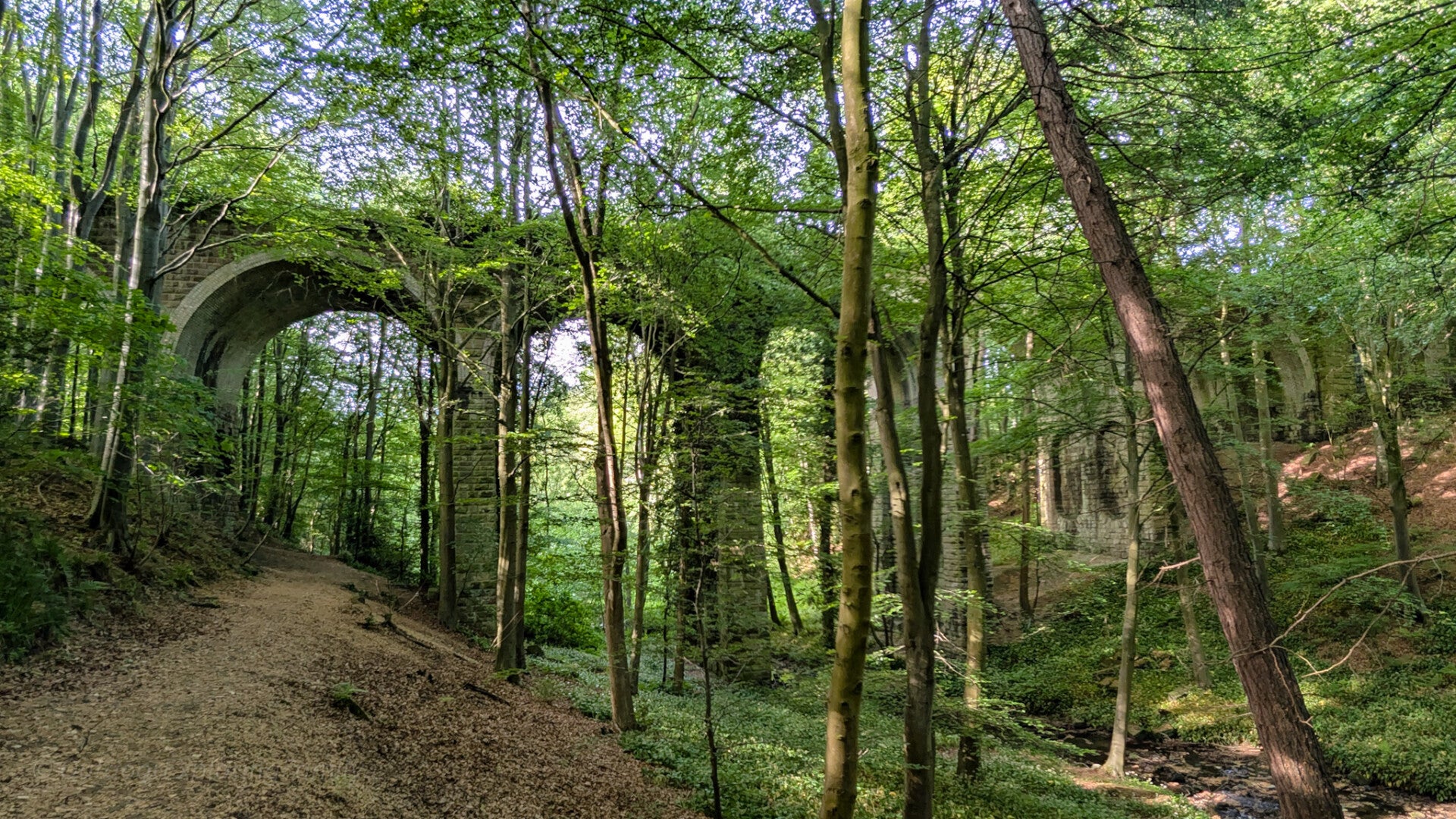 Percy Beck Bridge in Flatts Wood, Barnard Castle, with its Victorian railway arches rising above Percy Beck and the woodland valley below.