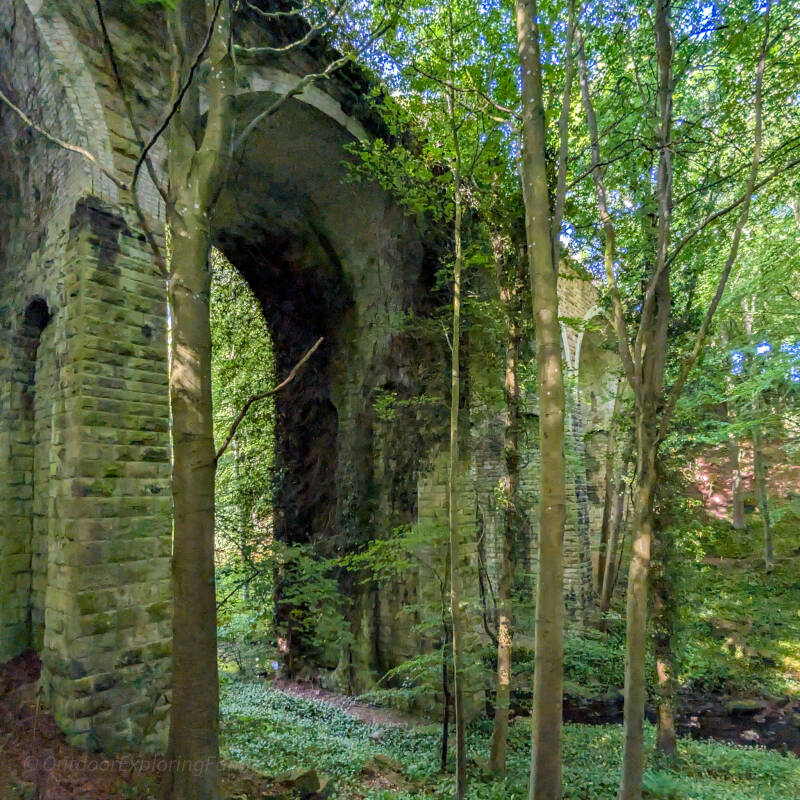 Side view of Percy Beck Bridge rising above the wooded valley of Percy Beck in Flatts Wood near Barnard Castle.