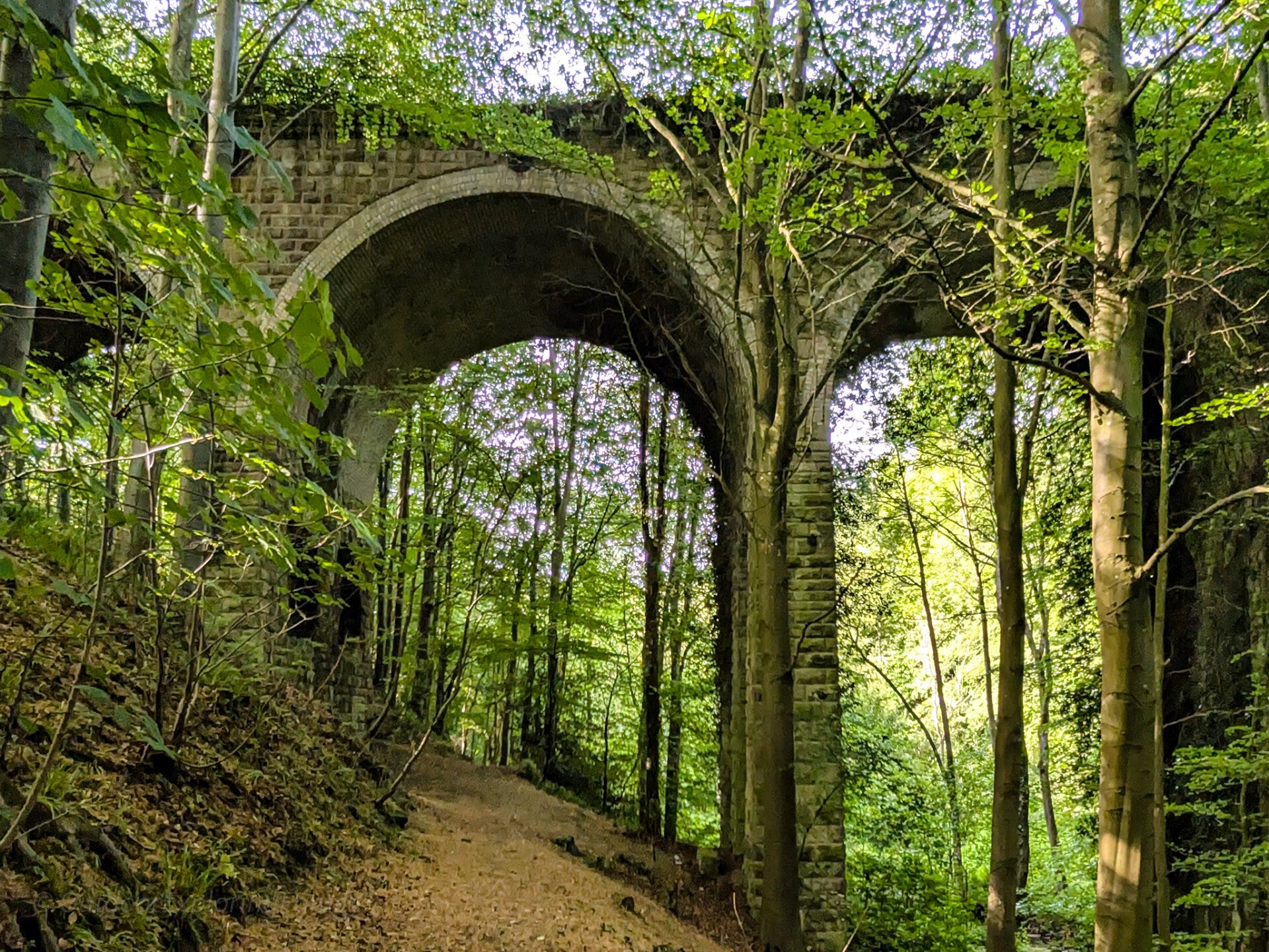 Percy Beck Bridge in Flatts Wood near Barnard Castle, a Grade II listed Victorian railway bridge built for the South Durham and Lancashire Union Railway.