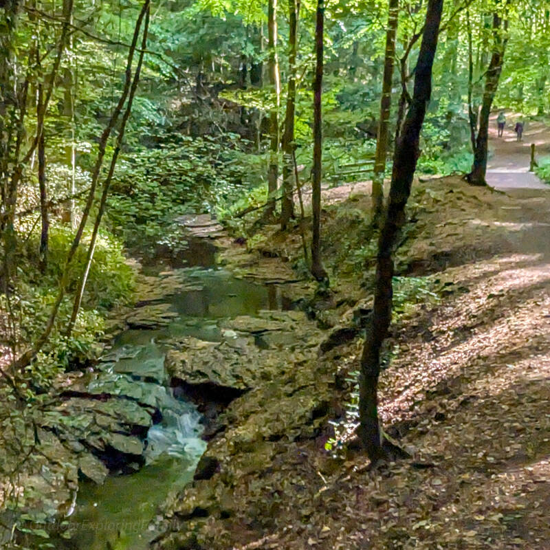 Percy Beck flowing through the wooded gorge at Flatts Wood, Barnard Castle, with rocky stream beds and riverside walking paths.