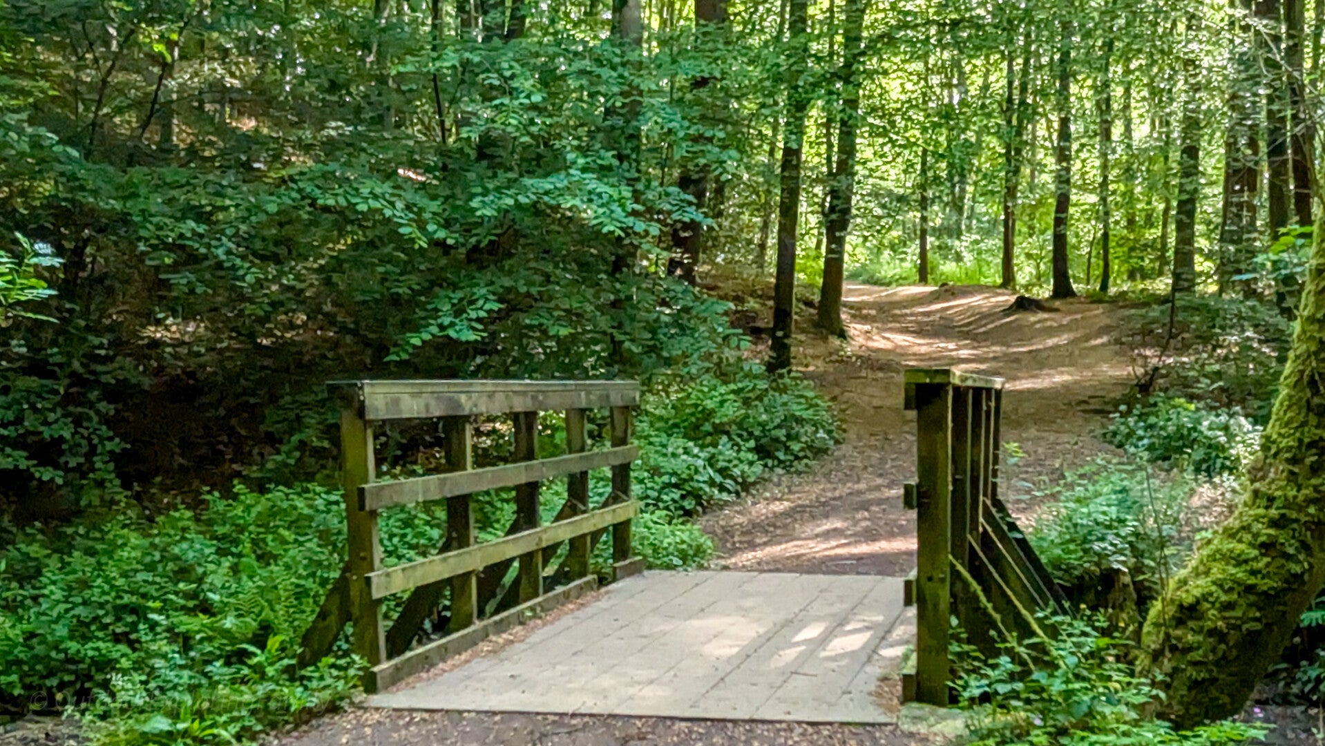 Wooden footbridge crossing Percy Beck in Flatts Wood, Barnard Castle, surrounded by peaceful woodland paths, mature trees and one of the town's most historic walking landscapes.