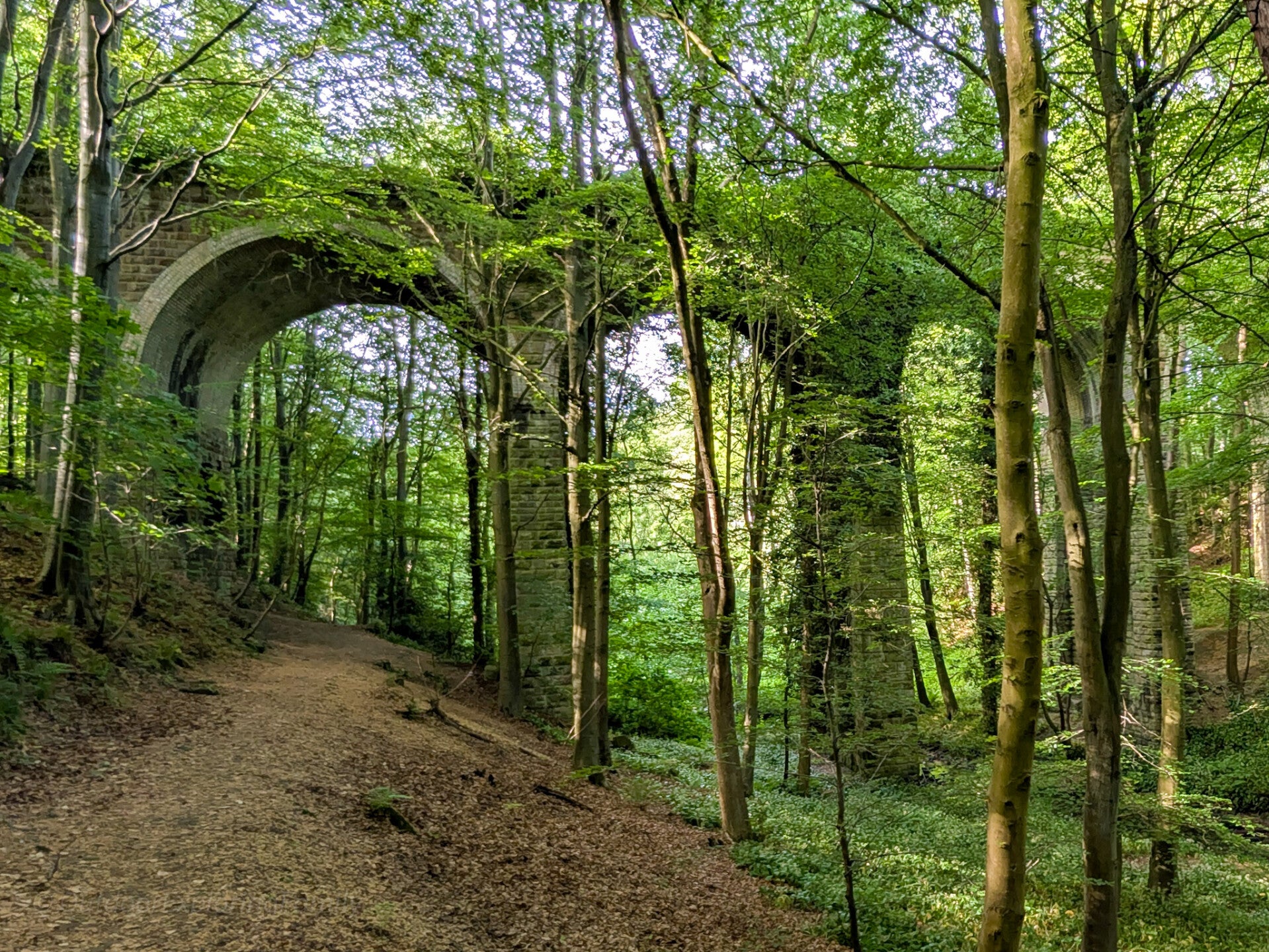 Grade II listed Percy Beck Railway Bridge above Flatts Wood in Barnard Castle