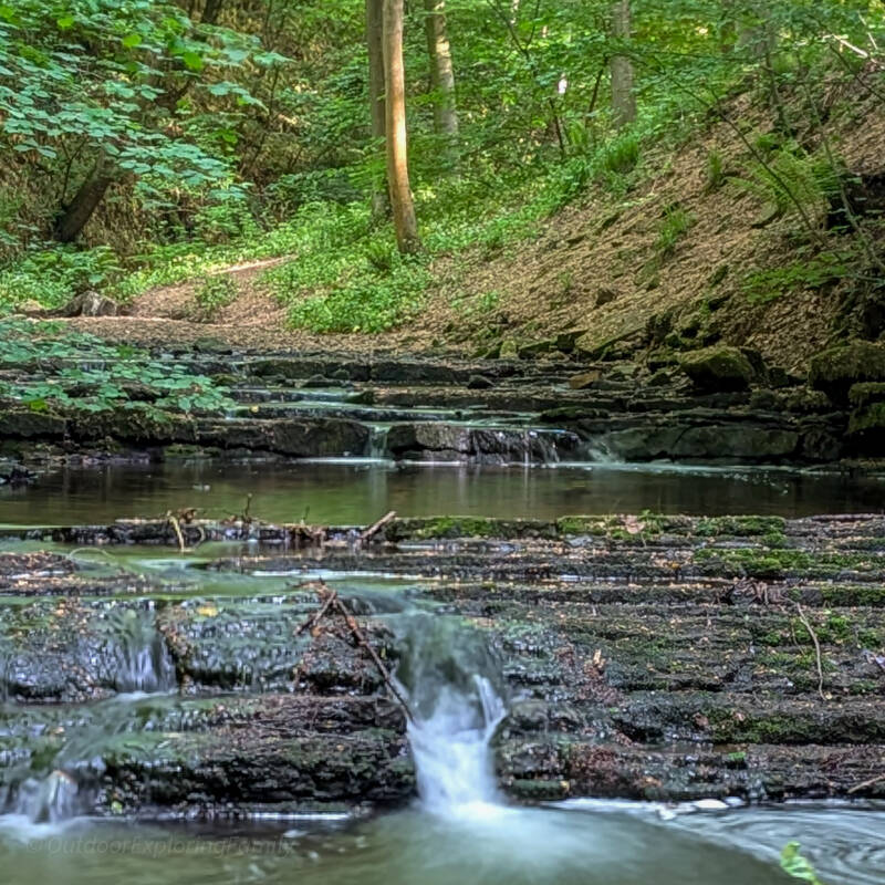Small cascades flowing through Percy Beck in Flatts Wood