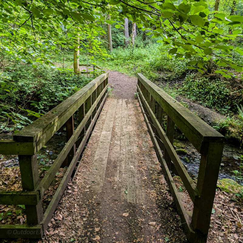 Wooden footbridge crossing Percy Beck in Flatts Wood, Barnard Castle, connecting the woodland paths through this historic riverside landscape.
