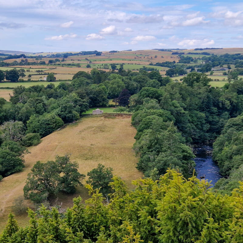 View from Percy Myre Rock over Shipley Wood, the River Tees and the Teesdale countryside