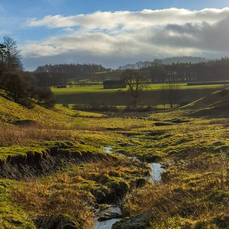 Open countryside and the River Greta valley seen from the Bowes Castle and Mill Force walk