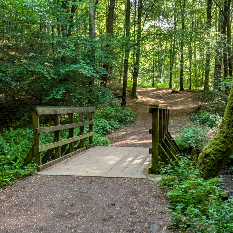 Footbridge crossing Percy Beck in the heart of Flatts Wood