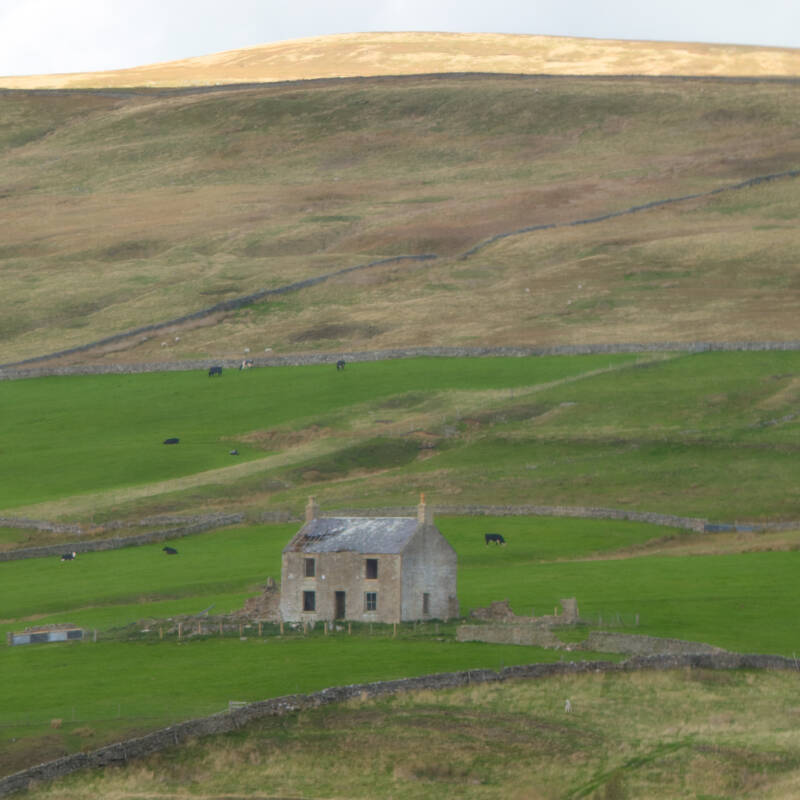Red Grooves House standing alone on the hillside north of Newbiggin, surrounded by open Teesdale countryside, drystone walls and distant hills.