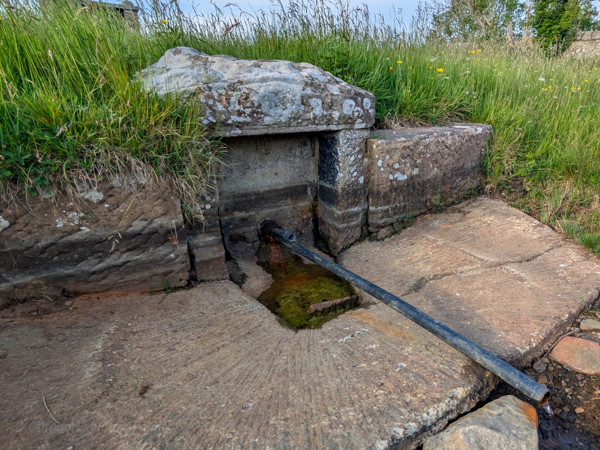 Historic Red Well mineral spring near Barnard Castle with stone shelter, iron rich water outlet and enclosed grassed surroundings in Teesdale