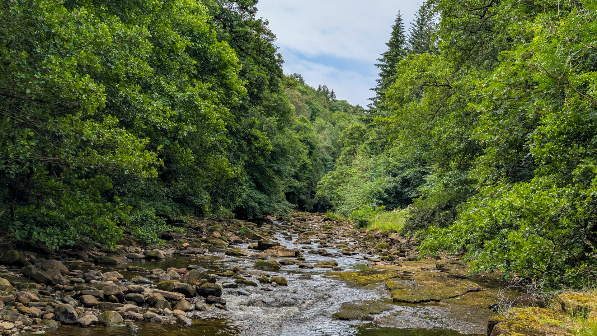 The River Greta flowing through Brignall Banks woodland on the circular walk between Greta Bridge, Brignall and Rokeby.