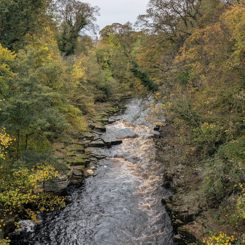 Rocky waterfalls and fast-flowing water on the River Tees near Whorlton, with autumn trees lining the riverbanks.