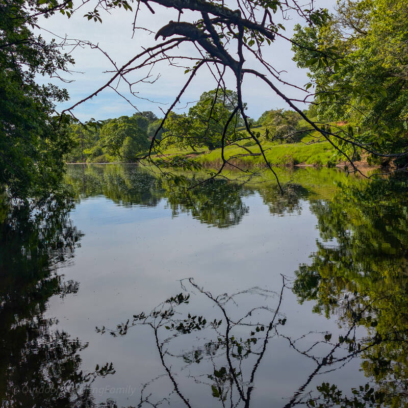 Riverside path beside the River Tees on the Flatts Wood Circular Walk
