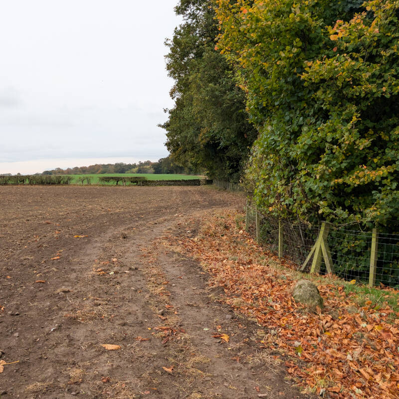 Open farmland and a tree-lined footpath on the Egglestone Abbey to Whorlton Bridge circular walk.