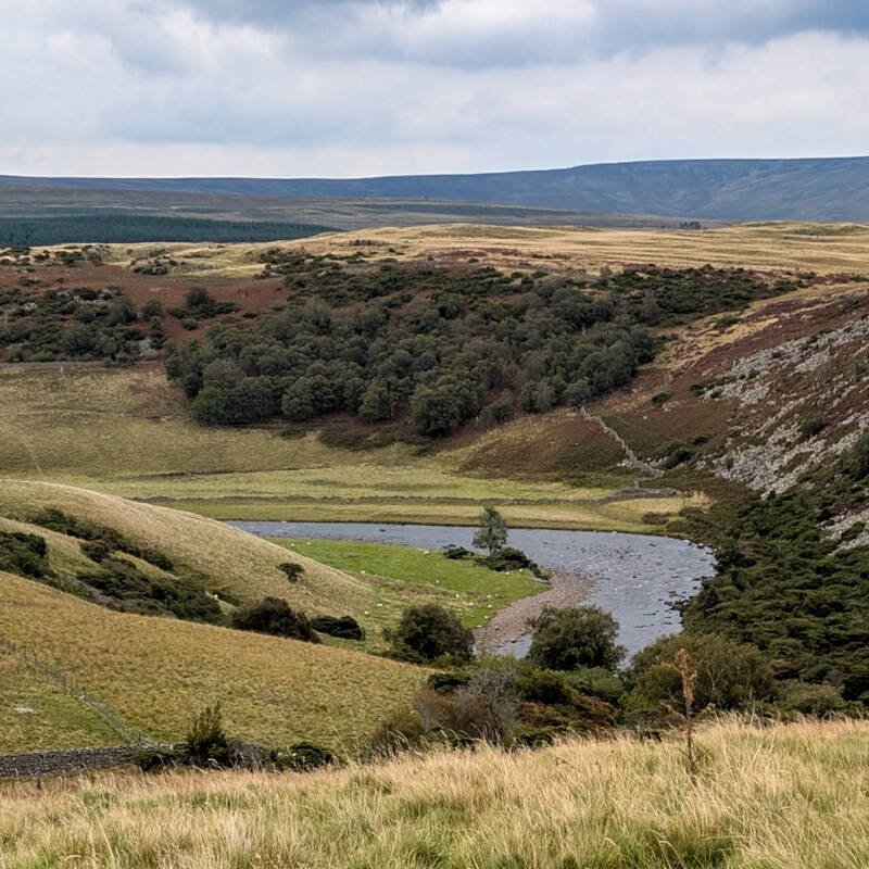 Wide view of the River Tees winding through the valley with open moorland in Upper Teesdale