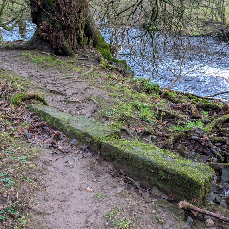 Mill Force waterfall and surviving remains of the old mill beside the River Greta at Bowes