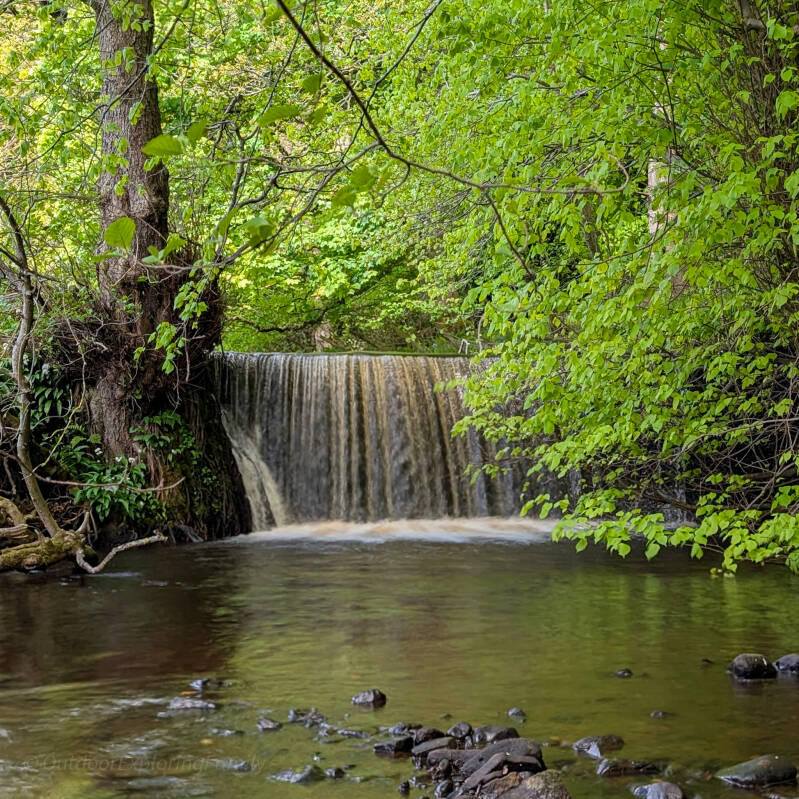 Small waterfall on Scur Beck near Lartington and Barnard Castle surrounded by woodland along a peaceful Teesdale walk