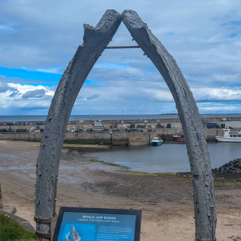 Huge whale jaw bones overlooking Seahouses Harbour