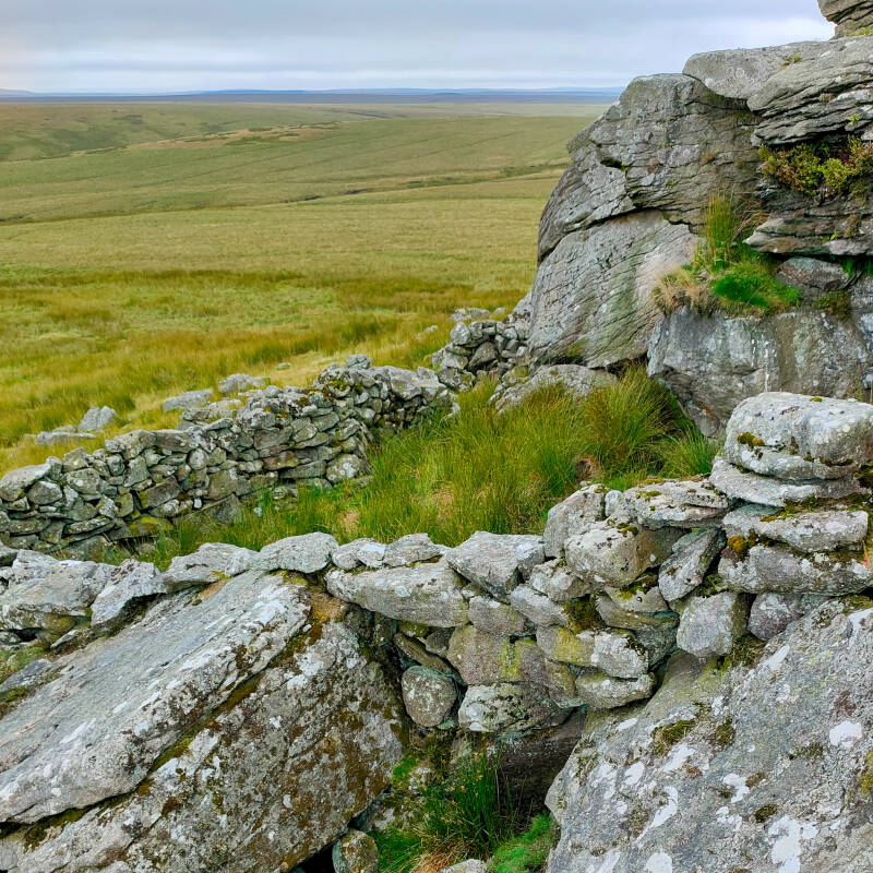 Old drystone wall remains on Shacklesborough hill in Upper Teesdale