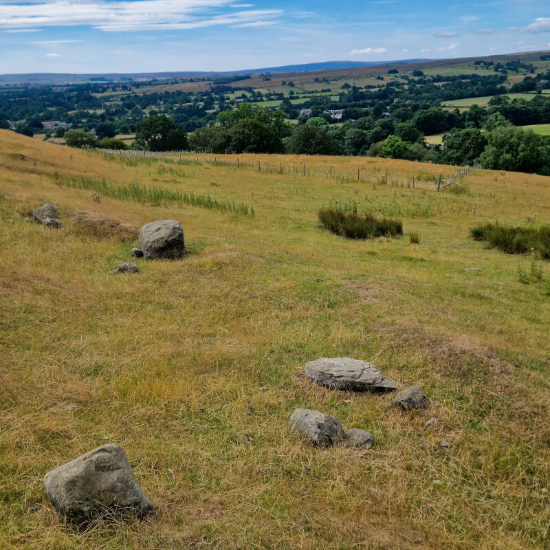 Late prehistoric enclosed farmstead earthworks above Shipley Wood in Teesdale