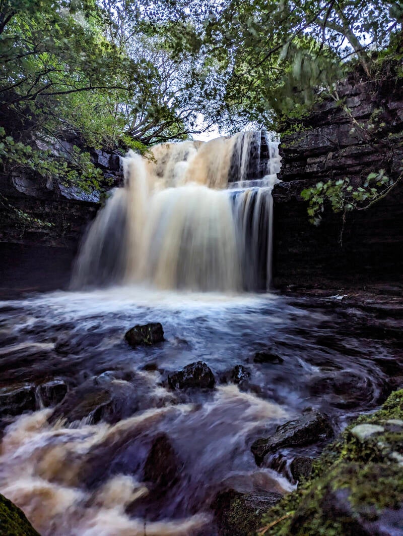 Family exploring woodland trails and open countryside in the North East of England