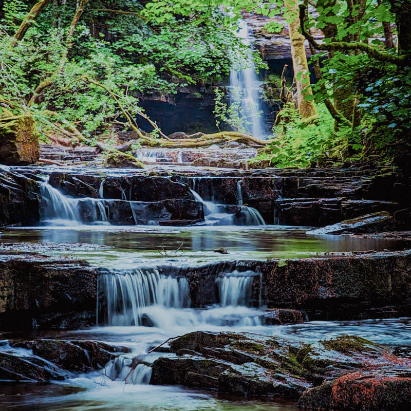 Summerhill Force waterfall flowing through woodland near Bowlees in Upper Teesdale