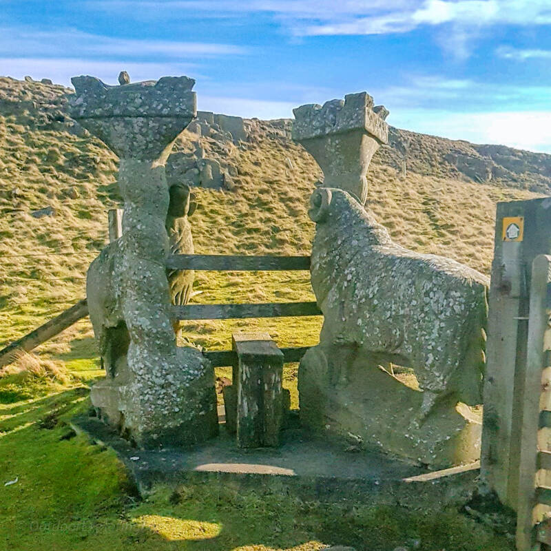 Carved stone sheep sculptures on the moorland near Holwick on the High Force circular walk