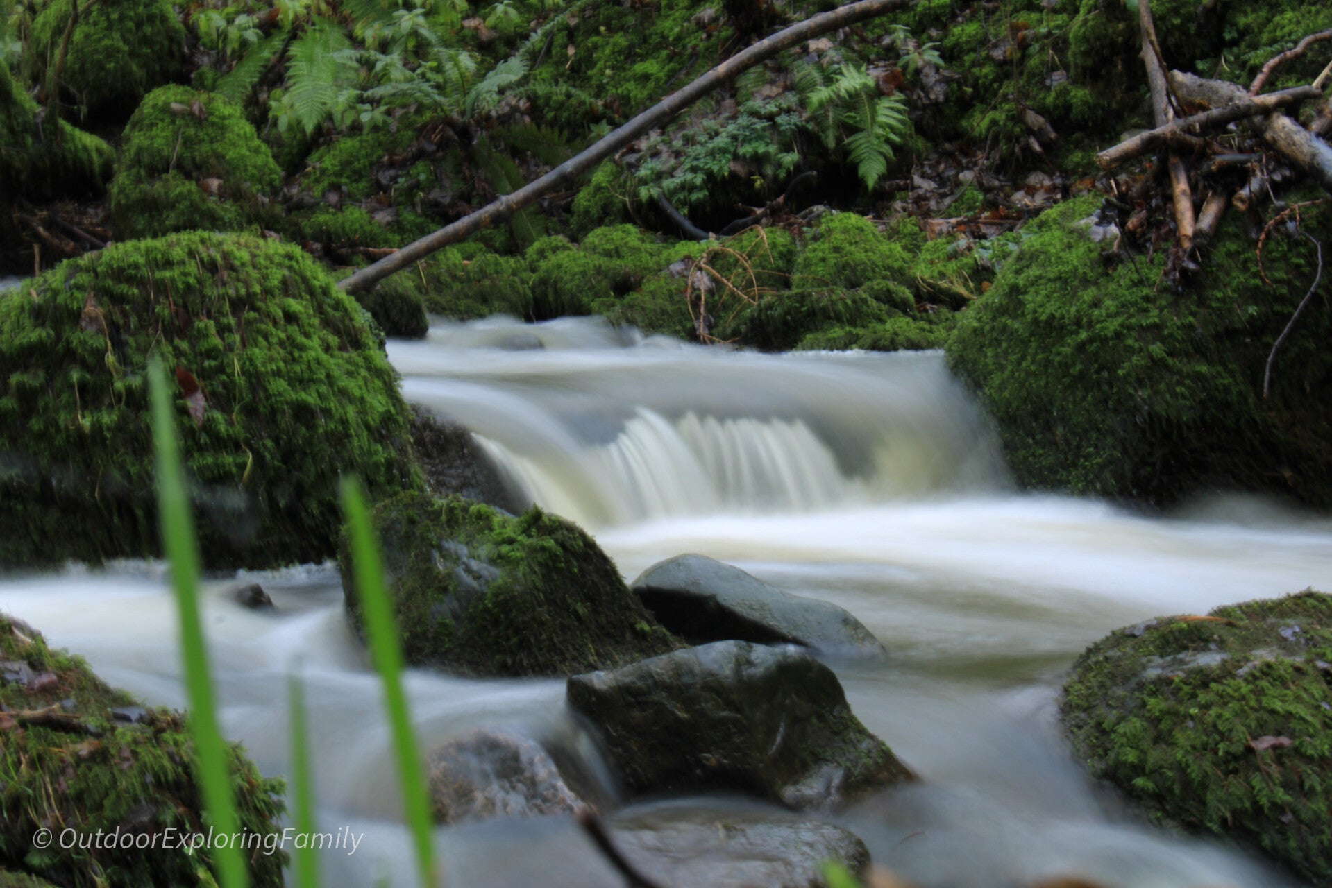 a small cascade in Thorsgill wood in teesdale