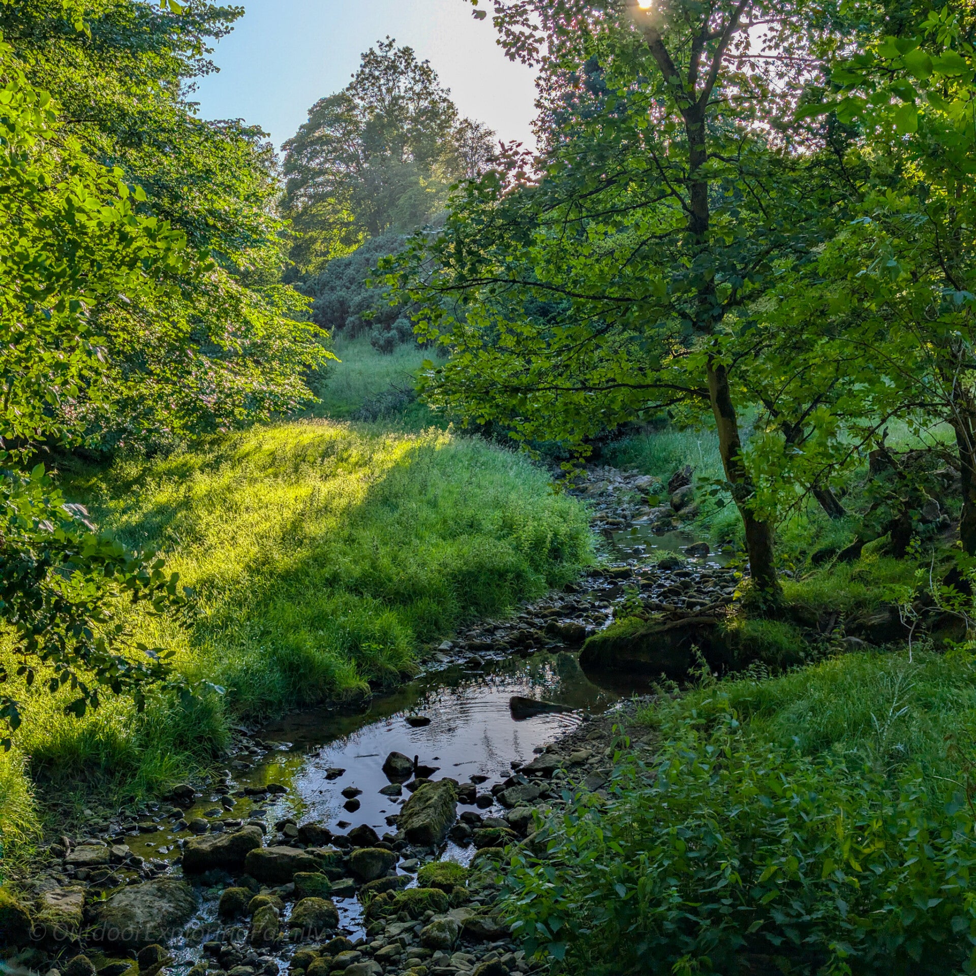 Thorsgill Beck flowing through green woodland and moss-covered rocks near Egglestone Abbey in Teesdale.