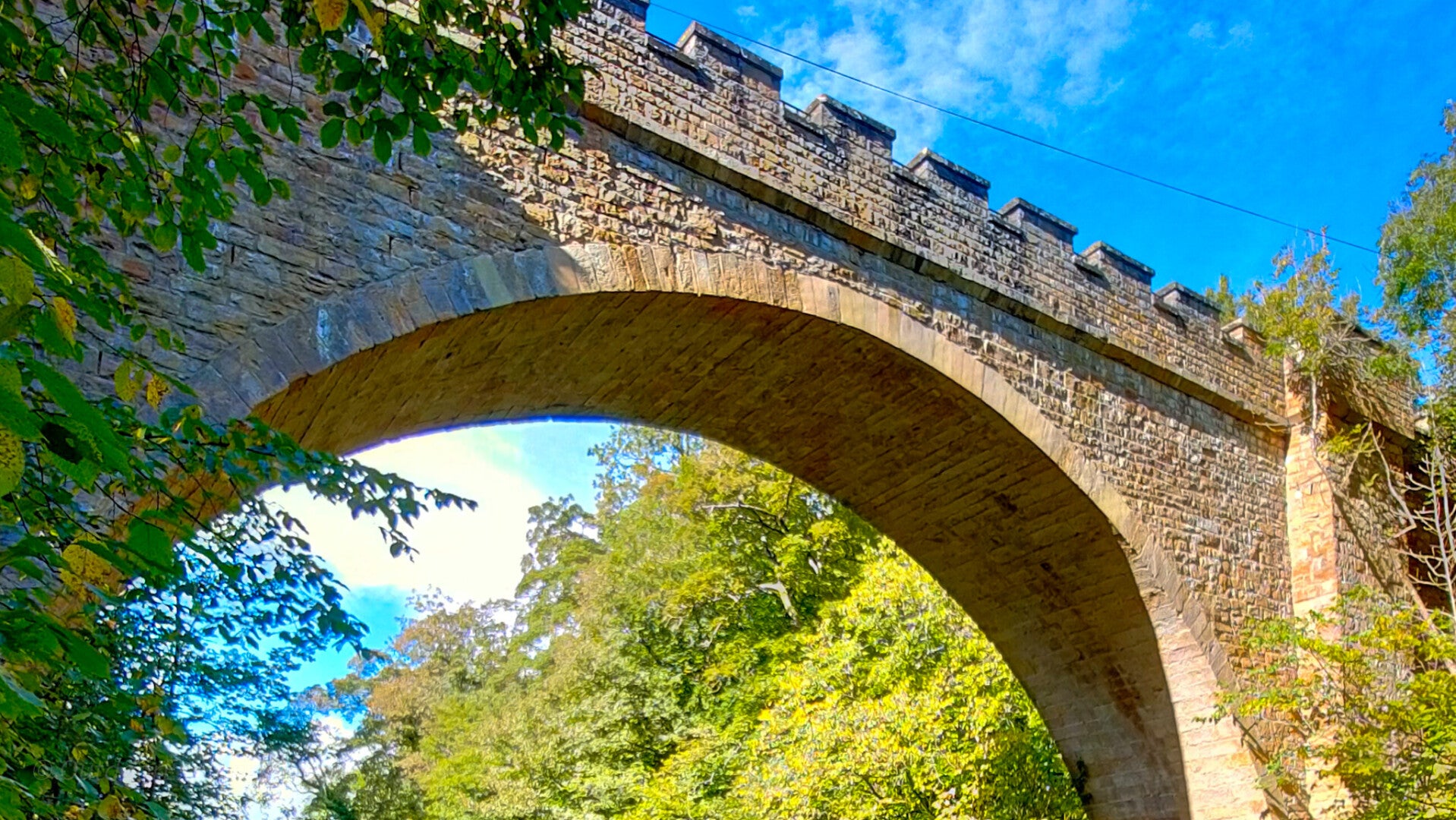 The stone arch of Abbey Bridge spanning the River Tees beneath mature woodland near Egglestone Abbey.
