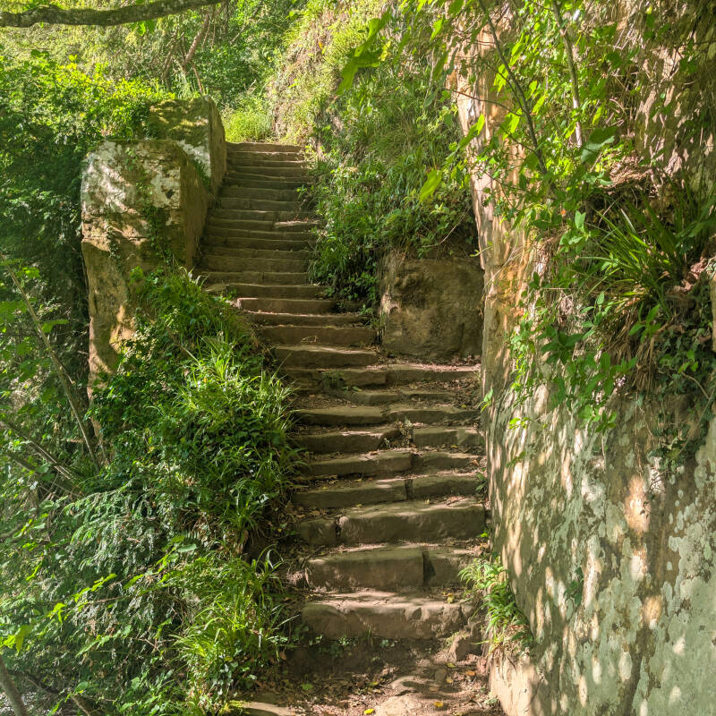 Historic stone steps leading down towards the former spa area near Barnard Castle.