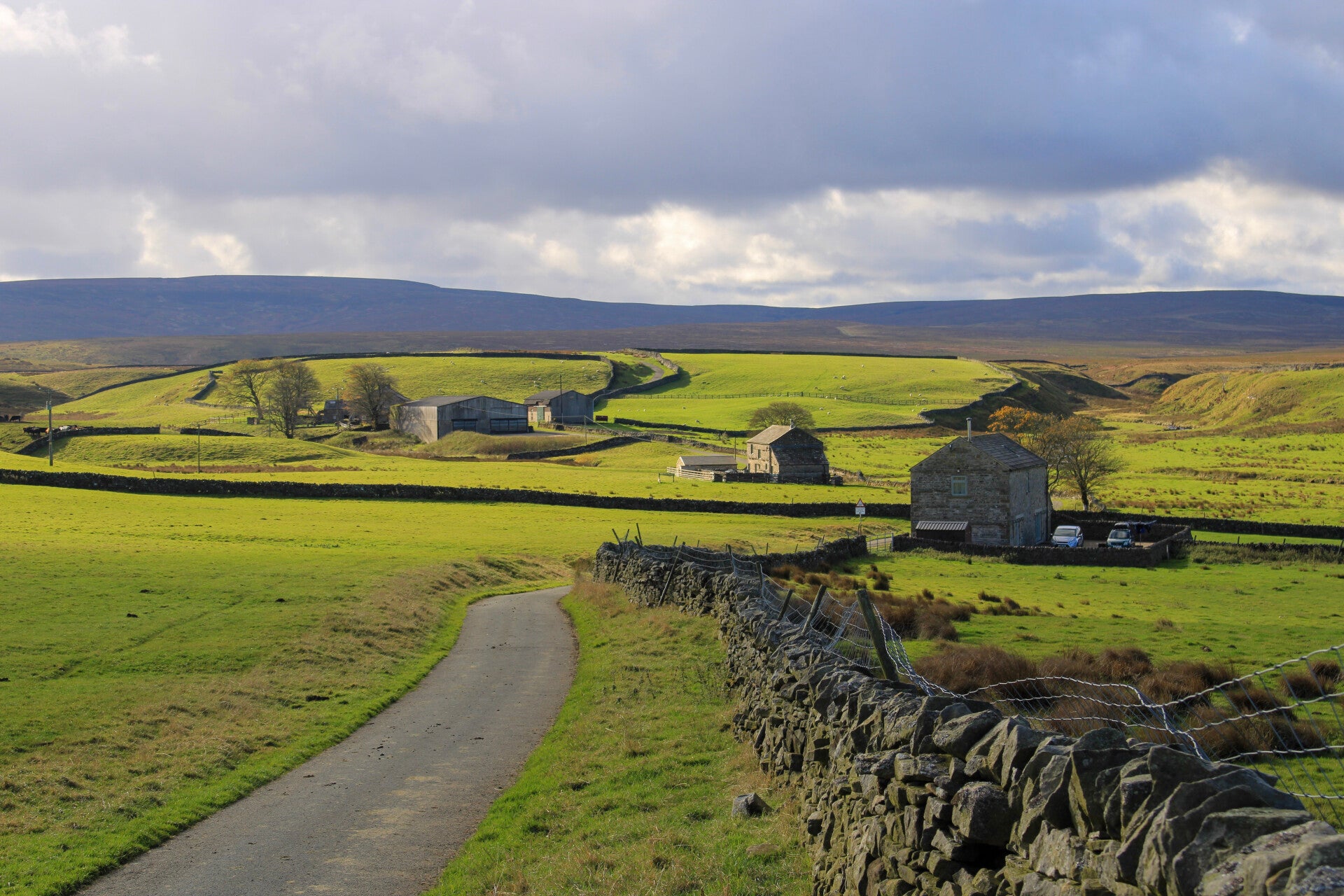 Wide panoramic view across the Teesdale countryside showing open fields, stone walls and big skies.