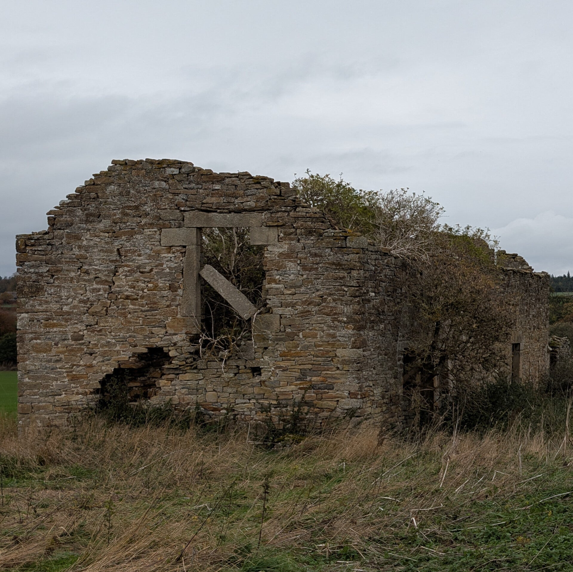 Abandoned stone farm buildings at West Thorpe near Whorlton, with collapsed walls, empty windows and vegetation growing through the ruins.